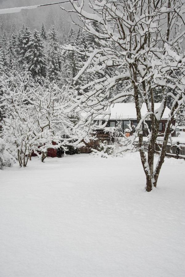 Appartamento Gipfelkoenig Bayrischzell Esterno foto