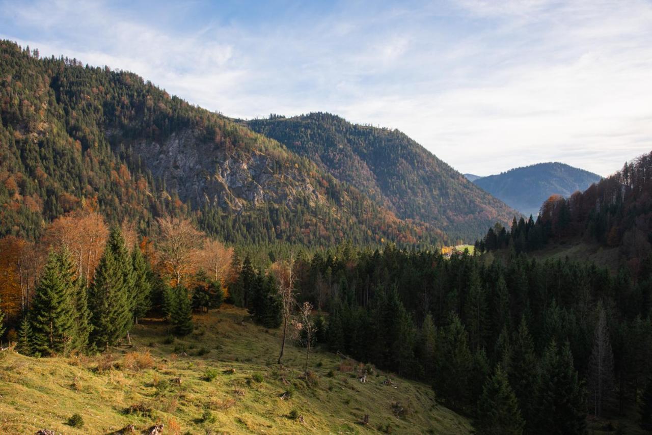 Appartamento Gipfelkoenig Bayrischzell Esterno foto